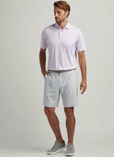 Load image into Gallery viewer, Peter Millar Salem Performance Short in British Grey
