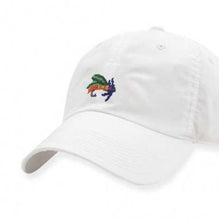 Load image into Gallery viewer, Smathers &amp; Branson Fishing Fly Needlepoint Performance Hat in White
